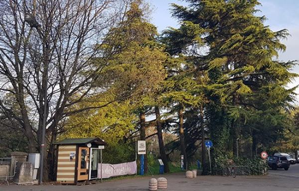 immagine annuncio 1 di 4