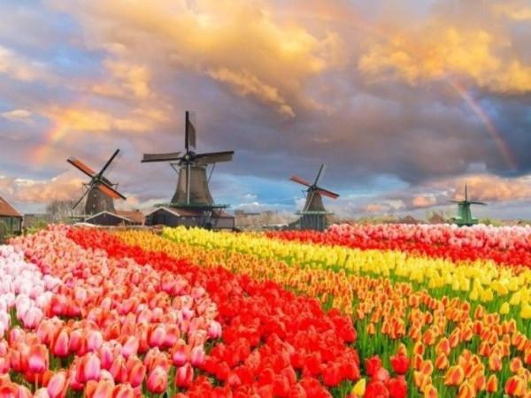 immagine annuncio 2 di 3