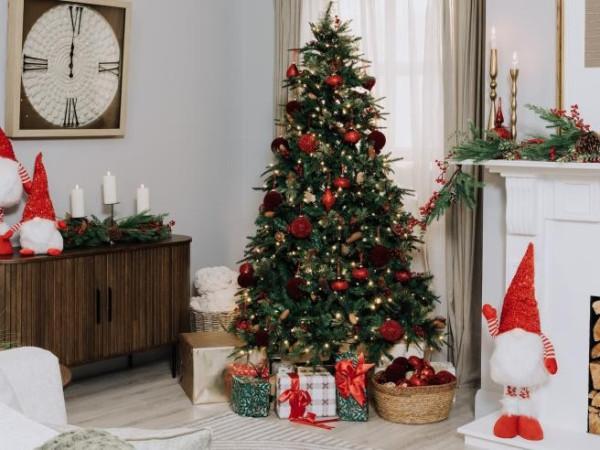 immagine annuncio 1 di 2