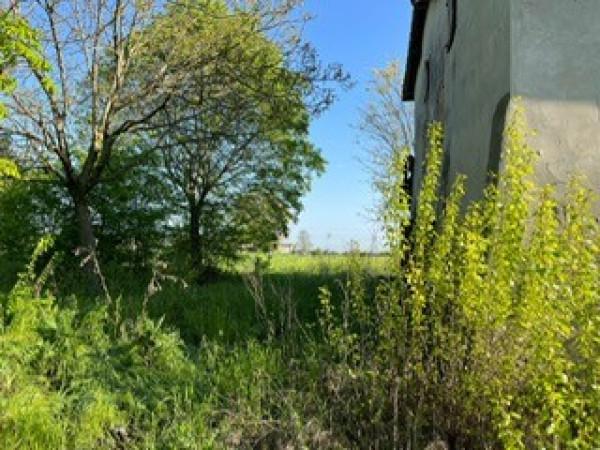 immagine annuncio 3 di 11