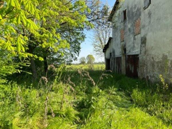 immagine annuncio 6 di 11