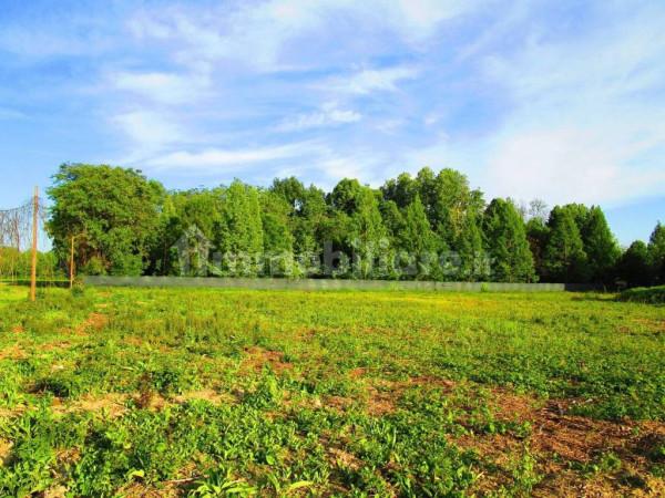 immagine annuncio 1 di 2