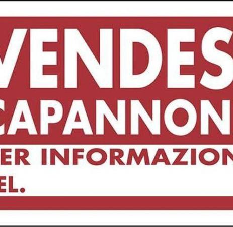 Capannone in Via Aldo Moro, Reggio nell'Emilia, {3} - Foto 1
