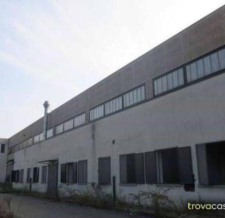 Capannone in Via dei Gonzaga, Reggio Emilia, {3} - Foto 1