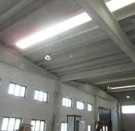 Capannone in , Reggio nell'Emilia, {3} - Foto 1