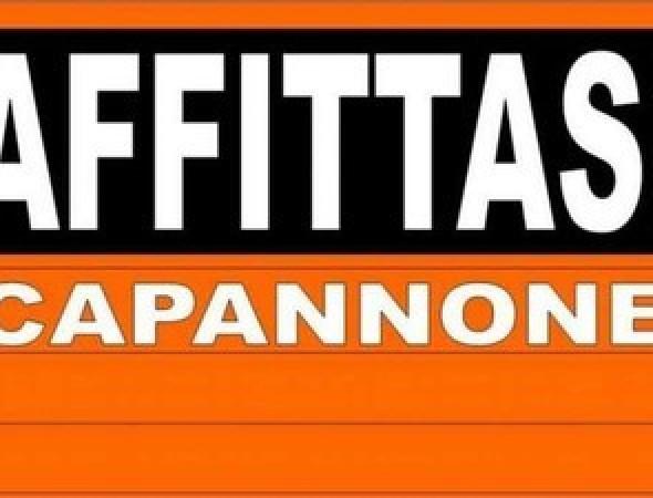 Capannone in Via Vincenzo Monti, Reggio nell'Emilia, {3} - Foto 1