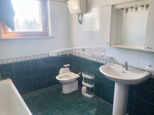 immagine annuncio 10 di 13