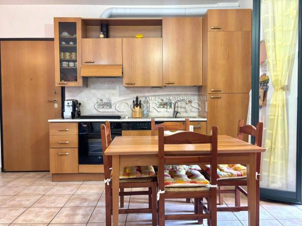 immagine annuncio 7 di 15