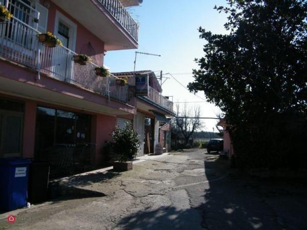 Tavola calda in Localita' Carano, Alatri, {3} - Foto 1