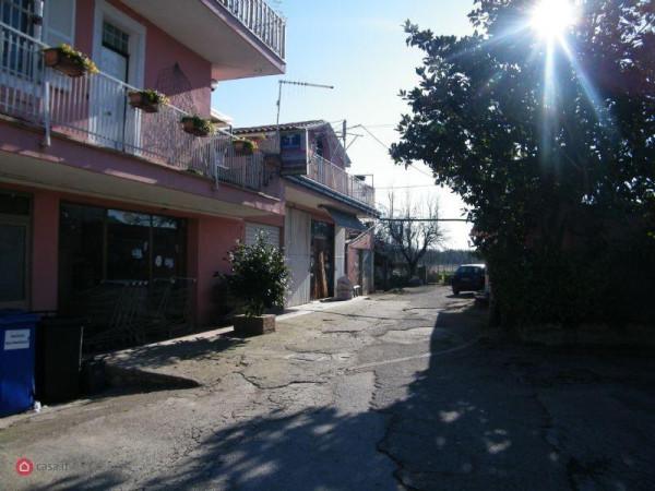 Tavola calda in Localita' Carano, Alatri, {3} - Foto 2