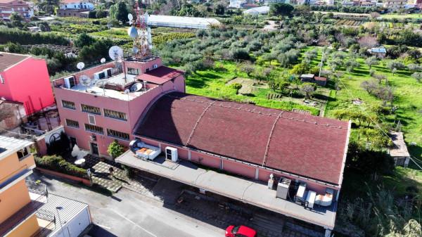 Ufficio in Via Ciantro, Milazzo, {3} - Foto 2