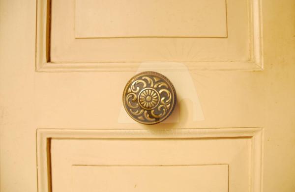insertion image