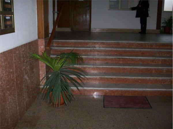 insertion image