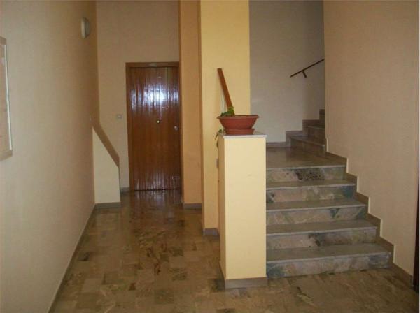 insertion image
