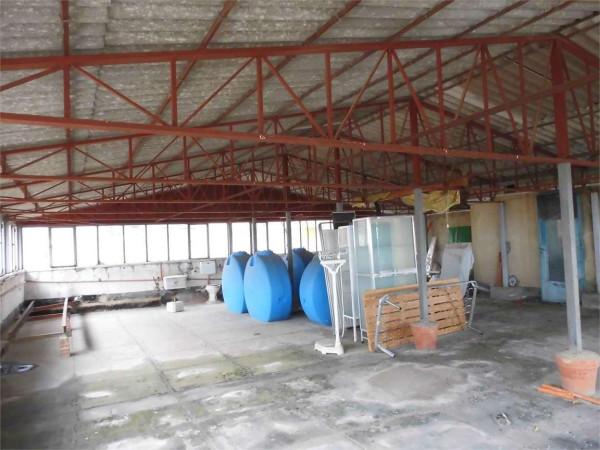 Magazzino in Via, Agrigento, {3} - Foto 2