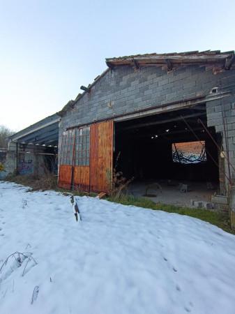 immagine annuncio 4 di 15