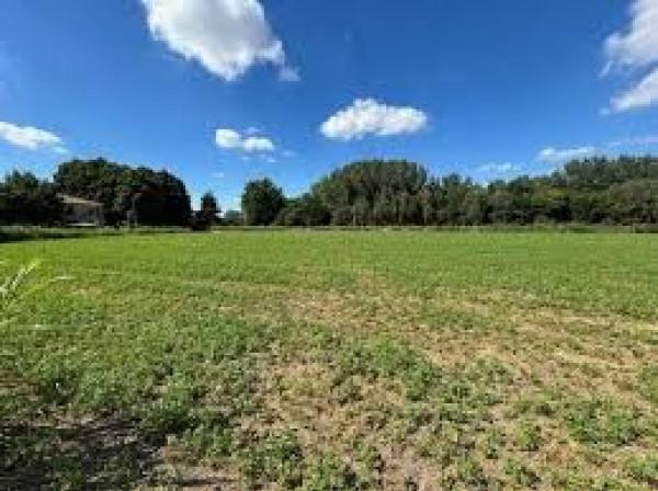 immagine annuncio 6 di 11