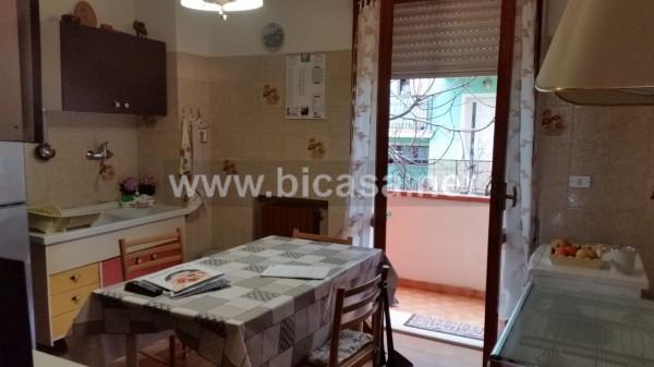 immagine annuncio 3 di 14