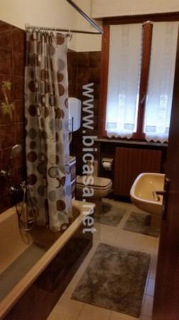 immagine annuncio 8 di 14