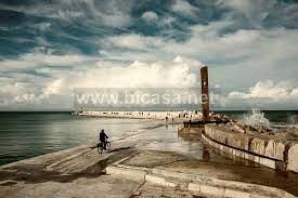 immagine annuncio 2 di 6