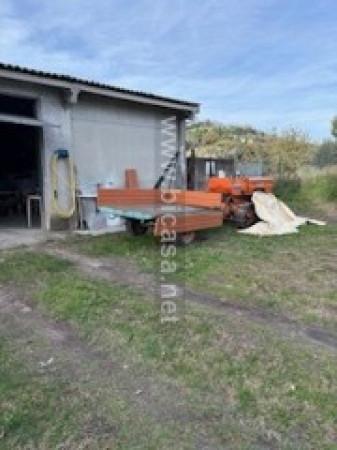 immagine annuncio 11 di 13