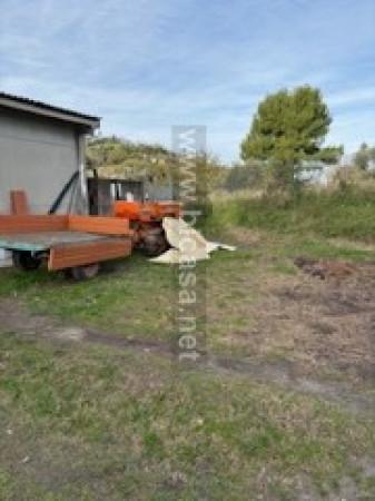 immagine annuncio 10 di 13