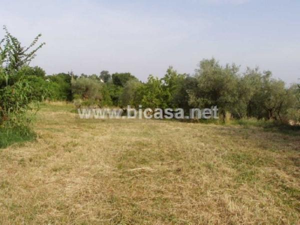 immagine annuncio 6 di 9