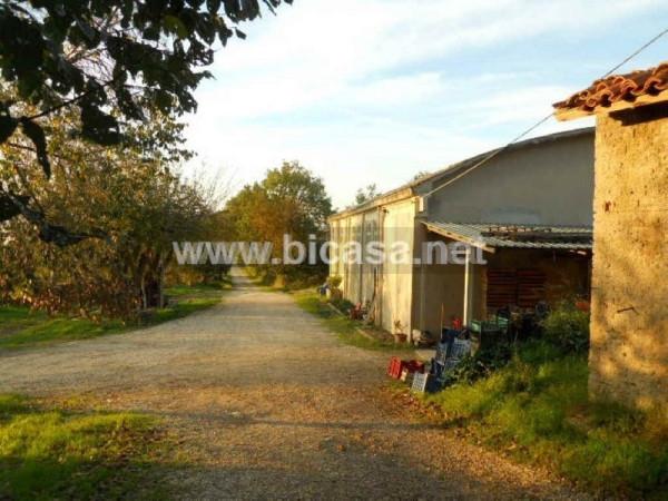 immagine annuncio 3 di 11