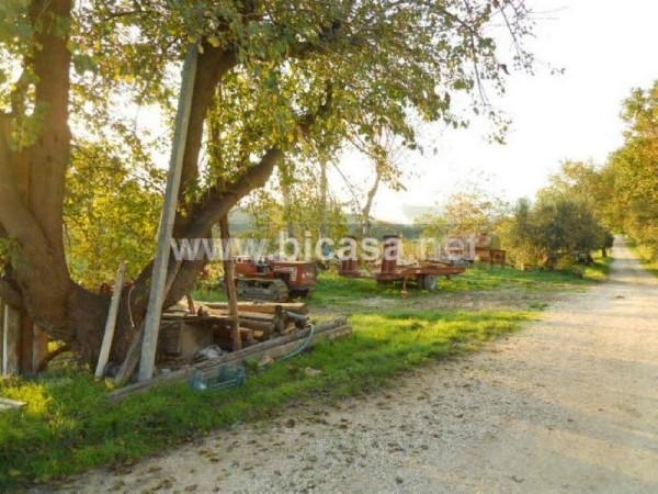 immagine annuncio 8 di 11