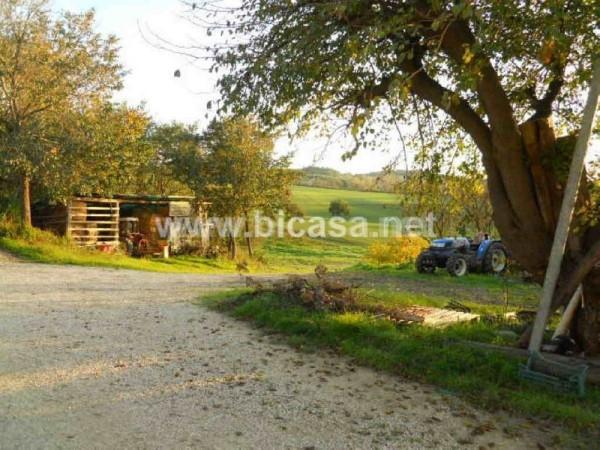 immagine annuncio 7 di 11