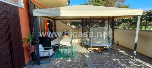 immagine annuncio 4 di 14