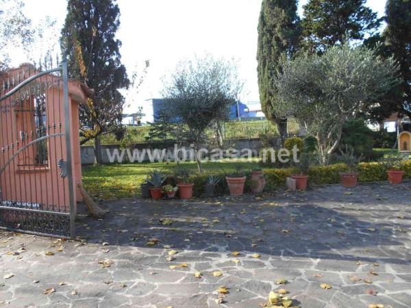 immagine annuncio 11 di 14