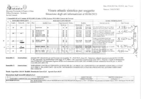 immagine annuncio 3 di 15