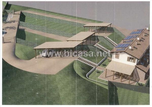 immagine annuncio 2 di 4