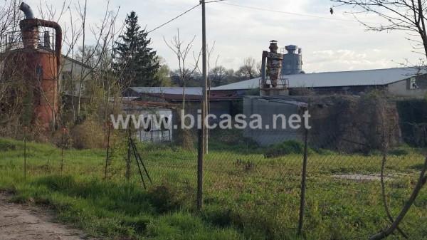 immagine annuncio 4 di 6