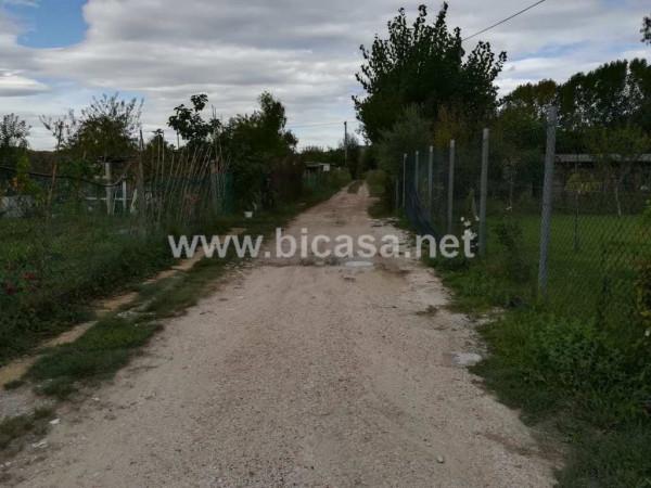 immagine annuncio 2 di 6