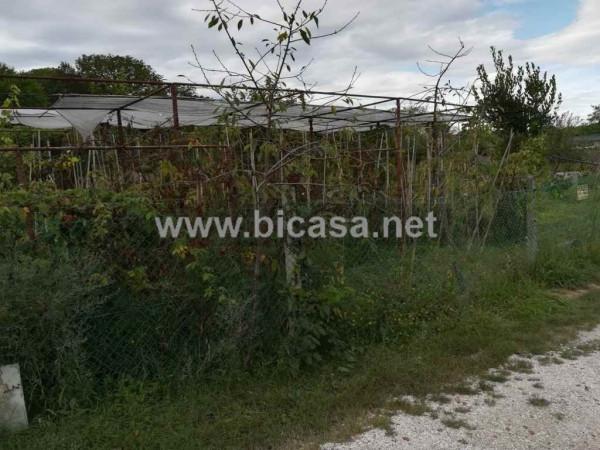 immagine annuncio 1 di 6