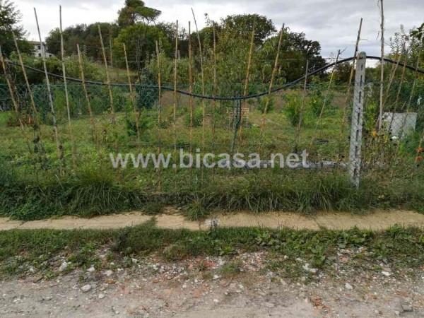 immagine annuncio 4 di 6