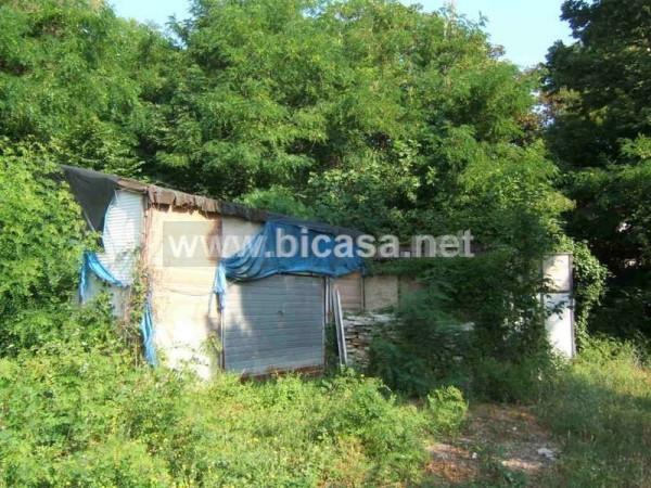 immagine annuncio 7 di 13