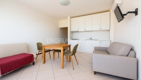 immagine annuncio 8 di 12