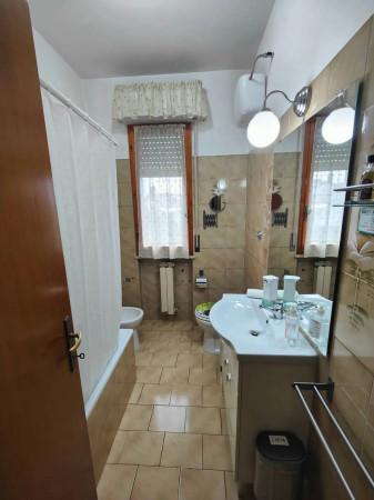 immagine annuncio 7 di 14