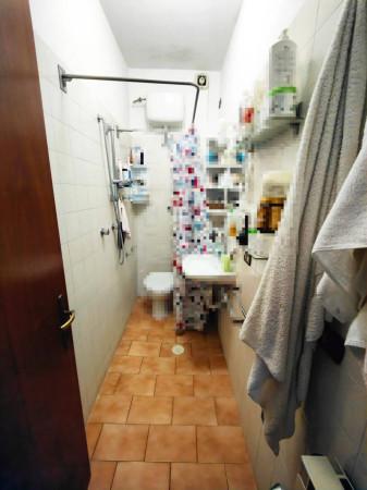 immagine annuncio 11 di 14