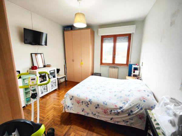 immagine annuncio 12 di 14