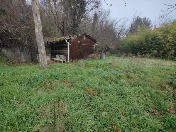 immagine annuncio 7 di 15