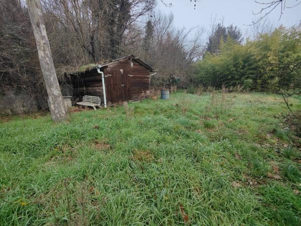 immagine annuncio 12 di 15