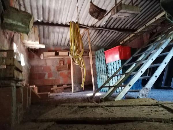 immagine annuncio 4 di 8