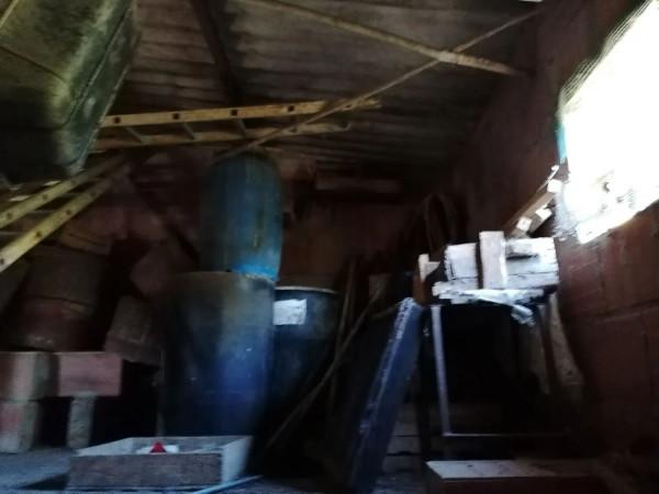 immagine annuncio 5 di 8