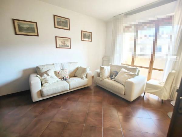 immagine annuncio 7 di 11