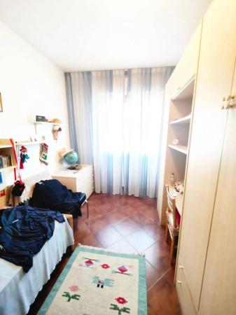 immagine annuncio 9 di 11