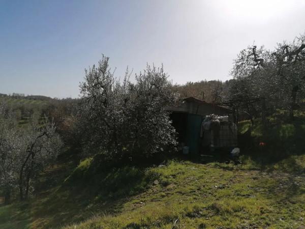 immagine annuncio 2 di 6